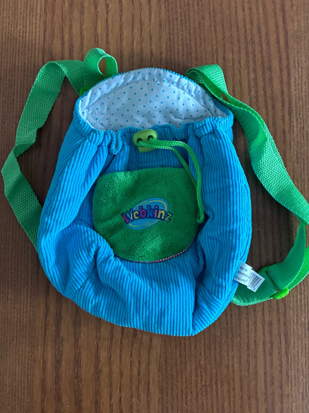 GANZ Blue and Green Webkinz Drawstring Kids Backpack
